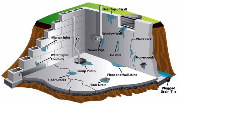 Basement Waterproofing Infographic